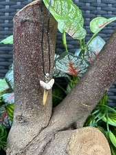 3 x Genuine Fossil Sand Shark Tooth Pendants on Wax Cord Necklace