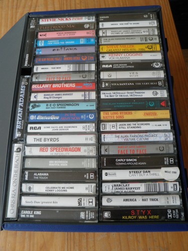 Carry case cassette - carry, of