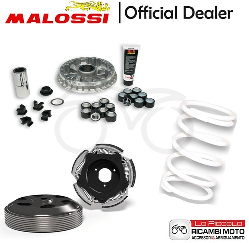 Variator kit malossi mhr white - variator,