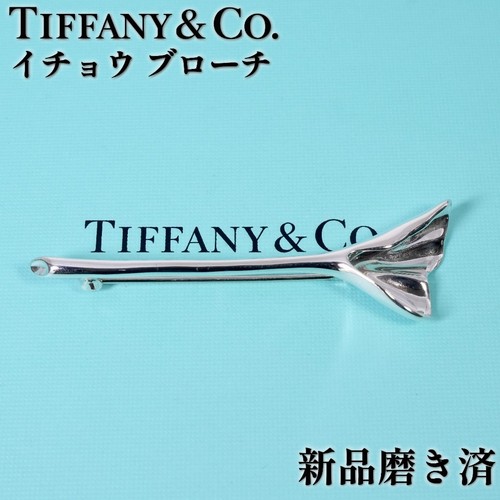 Tiffany ginkgo tree leaf - tree,