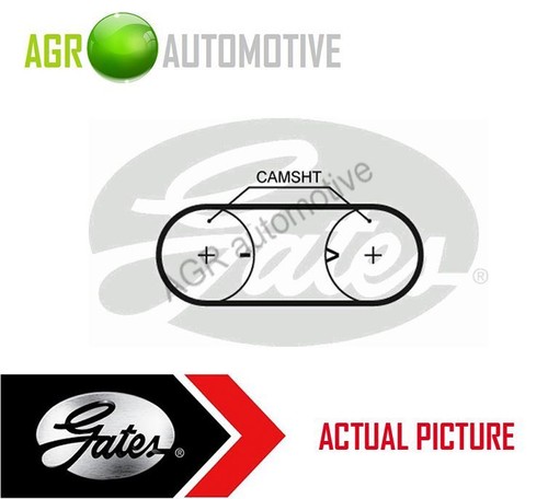 Gates timing belt - timing, oe