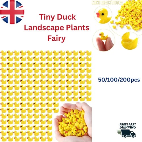 Mini resin ducks set tiny - mini,