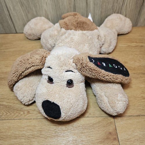 Paradox dog soft toy - paradox,