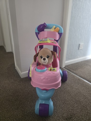 Vtech push along pet - push,
