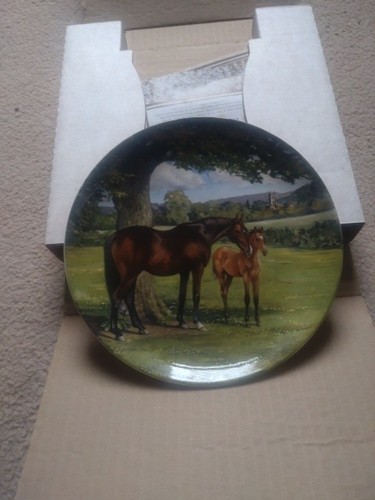Spode the english - english, thoroughbred