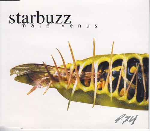Starbuzz male venus - starbuzz,