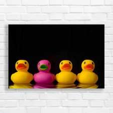 Rubber Ducks For A Fun