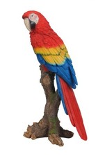 Red Macaw Parrot Lifelike