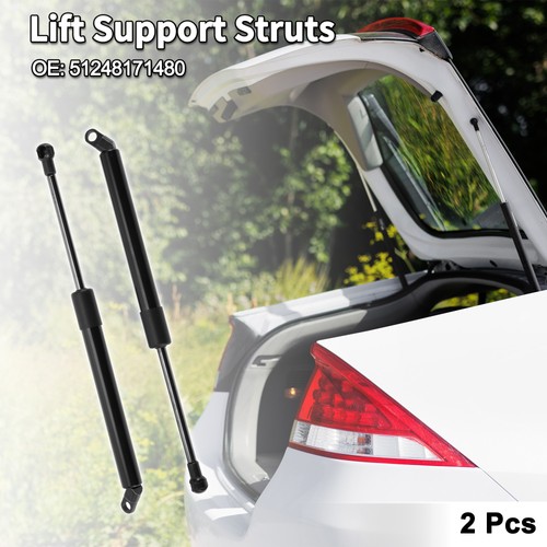 Rear hatch lift supports - hatch,