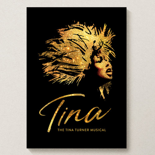 Tina turner musical poster - turner,