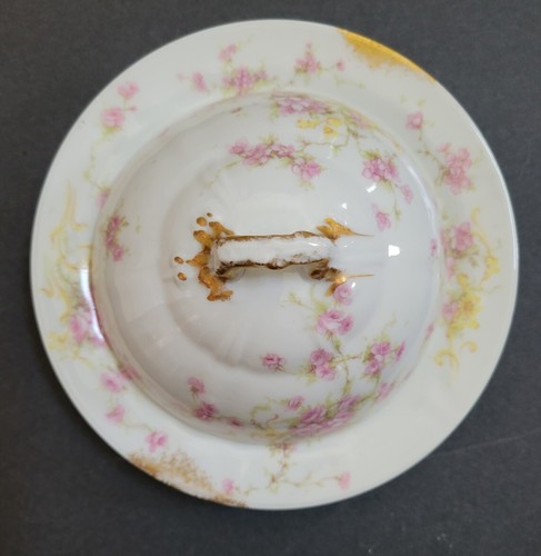 Theodore haviland limoges - theodore,