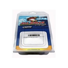 All Balls Rear Caliper Rebuild