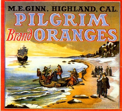 Highland pilgrim thanksgiving - pilgrim,