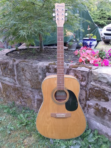 Cond nice hohner - ex., cond!