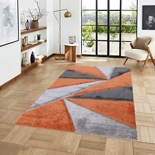 Shaggy Living Room Rug –