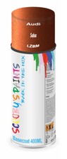 For Audi Spray Paint Aerosol