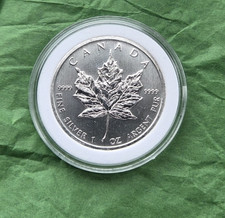 2011 Canadian Silver Maple