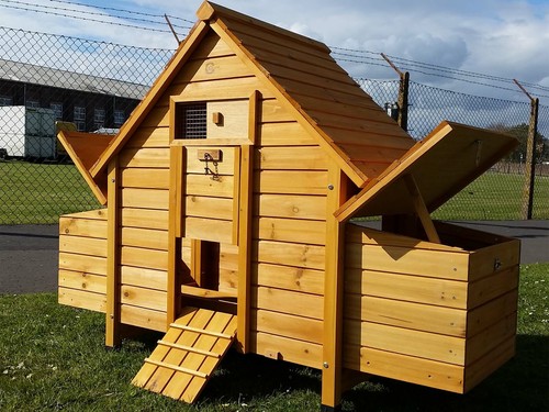 Chicken hen house - chicken, coop