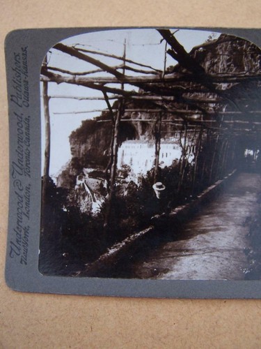 Stereoscopic stereo view - stereoscopic, stereo-view