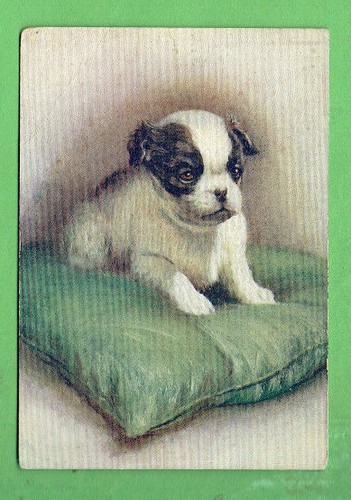 1936 puppy dog cigarette - #o.,