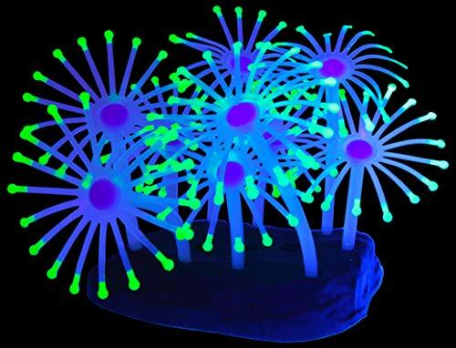 Glowing silicone faux - uv,