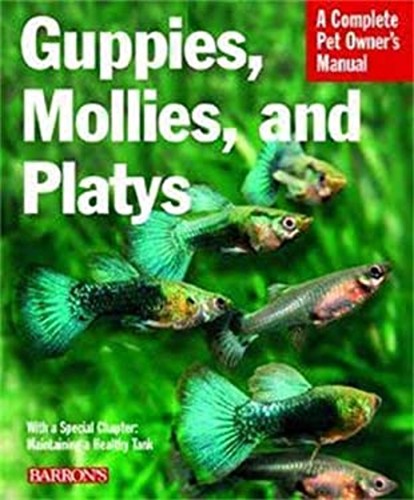 Guppies mollies and platys - guppies,,