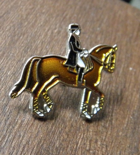 Dressage horses rider horse - dressage,