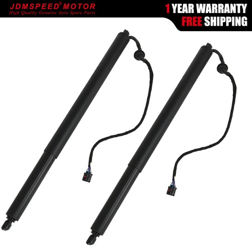 Electric tailgate gas strut - electric,