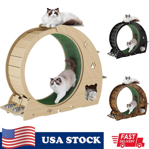 Cat wheels large treadmill - cat,