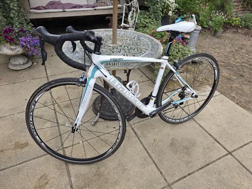 Bianchi intenso dama - bianchi,