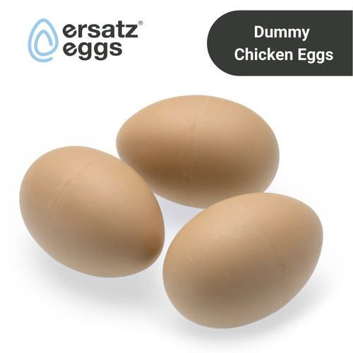 Weighted dummy chicken - x,