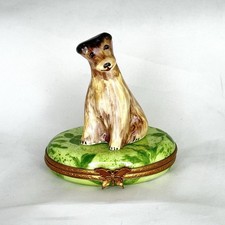 Wire Fox Terrier Dog, Best In