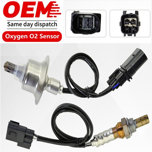 2pcs downstream o2 - ✅2pcs,