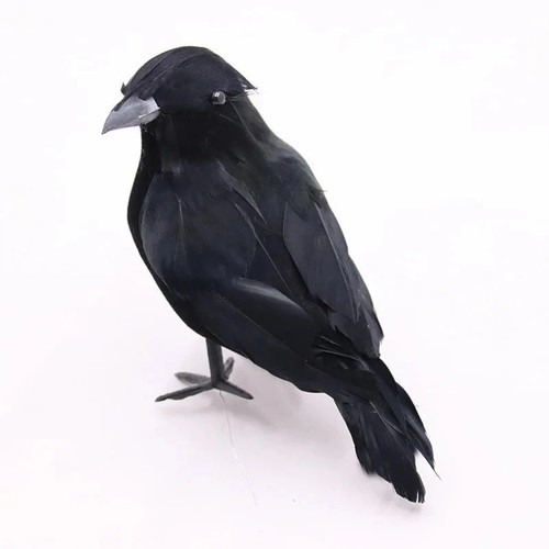 Realistic black crow halloween - realistic,