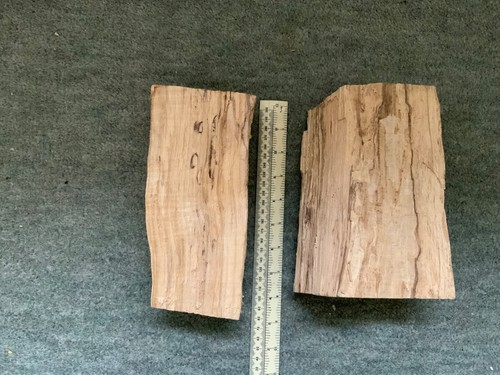 Spalted beech irregular - spalted, beech;