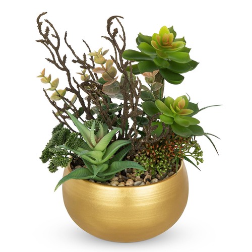Dilatata artificial succulent - dilatata,