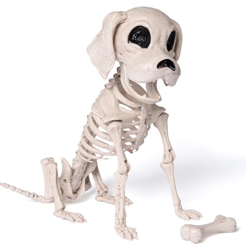 Halloween posable dog skeleton - halloween,