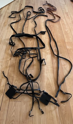 Leather pony harness - ,