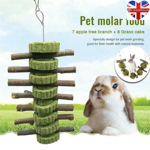 Grass treats bunny chew toy - bunny,