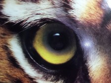 VERY RARE ESSO SIGN - ADVERT LOOK NO FURTHER 1979 APPROX ,