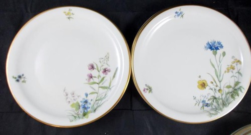 Franconia meadow flowers lot - meadow,