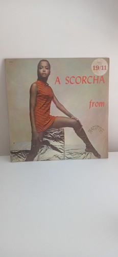 Scorcha bamboo blp - scorcha#bamboo, 202