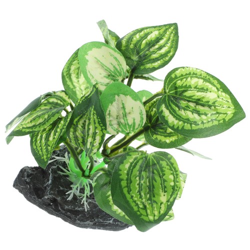 Betta fish tank plant - fish,