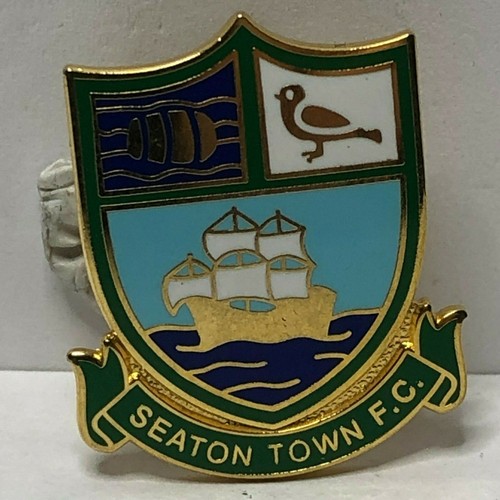 Seaton town non league - town,