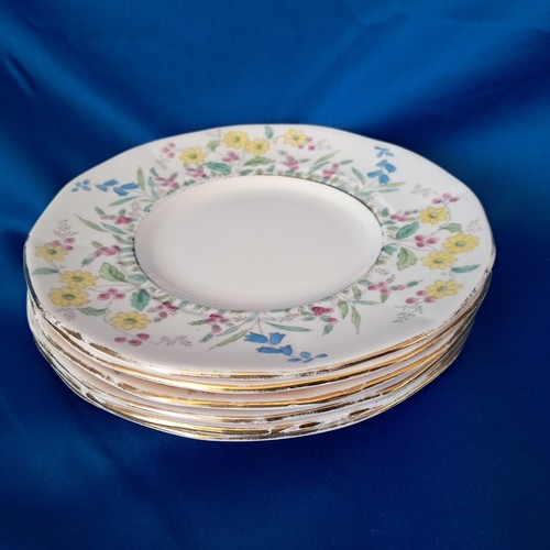 Plates set vintage tuscan - plates,