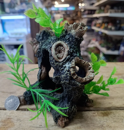 Small tree trunk aquarium - trunk,