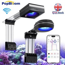 Popbloom rl60 rl90 marine - marine, led