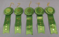 Green 6th Place Rosette