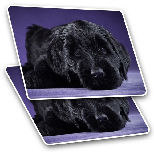 Rectangle stickers cm - x, 10