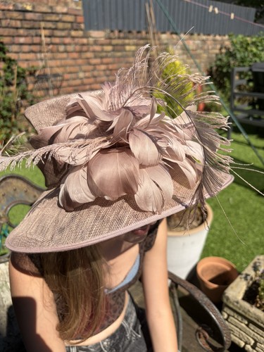 Hat box blush - blush, occasion